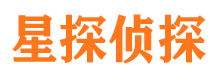 二七调查公司